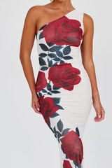 Desiree One Shoulder Mesh Maxi Dress Rose